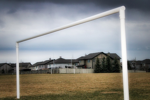 哈特的赞誉 哈特的赞誉