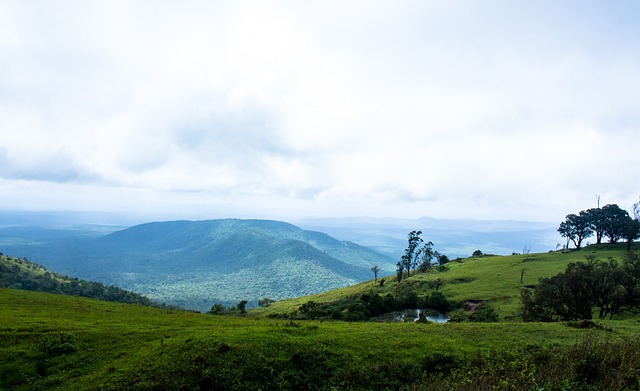 洛瑞的每一 洛瑞的每一