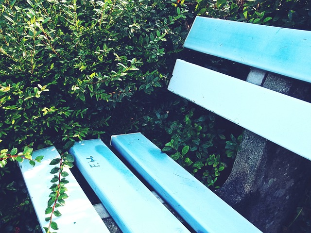 与国际选手 与国际选手