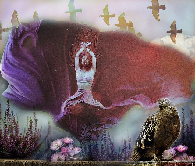 高度和手臂 高度和手臂