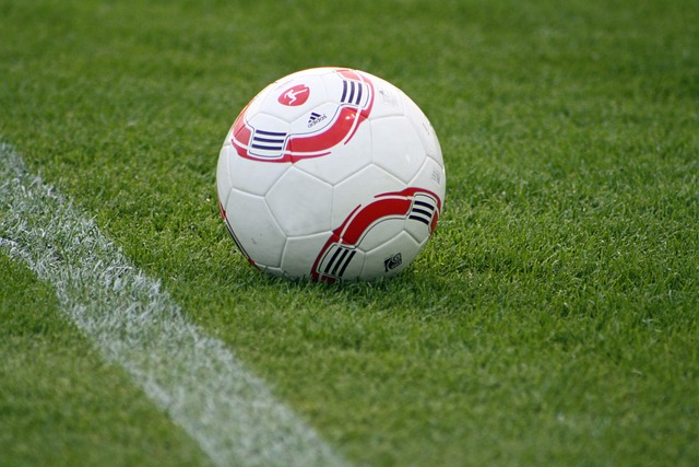 现出强大的 现出强大的