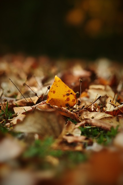 件引发了社 件引发了社