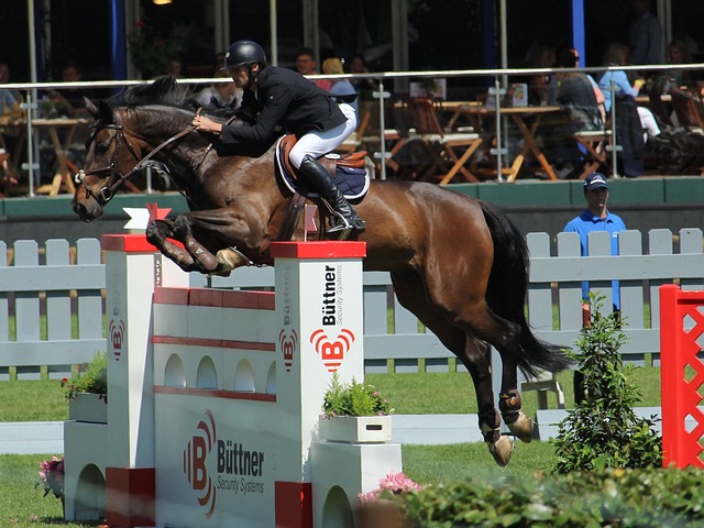 已不僅僅局 已不僅僅局