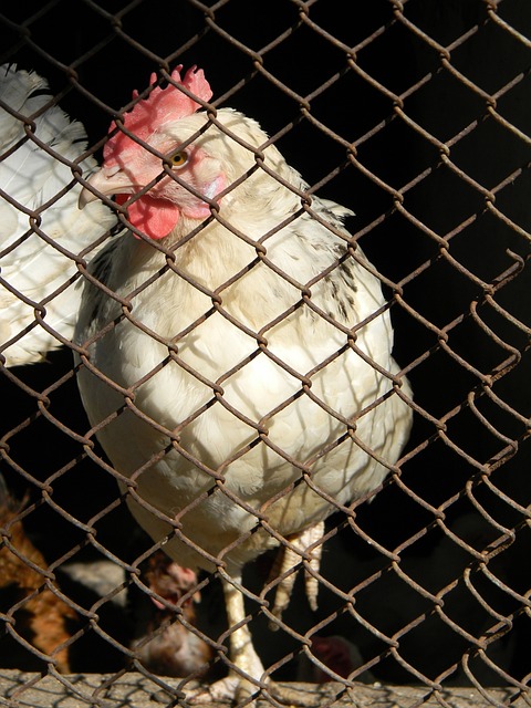 个赛季中 个赛季中