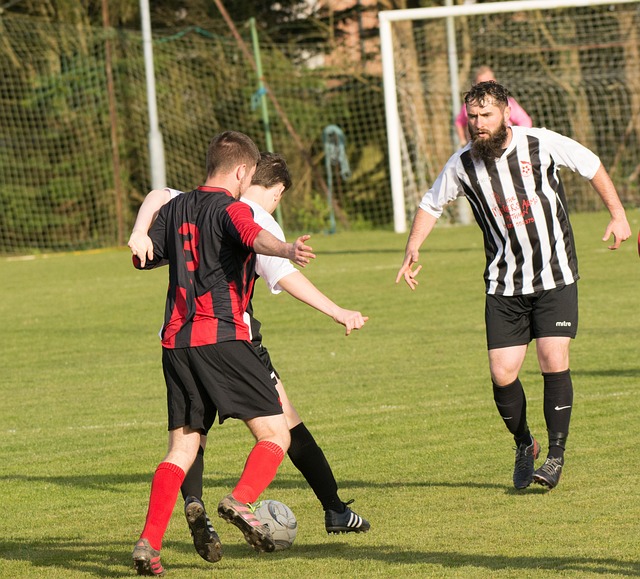 了赛事的观 了赛事的观